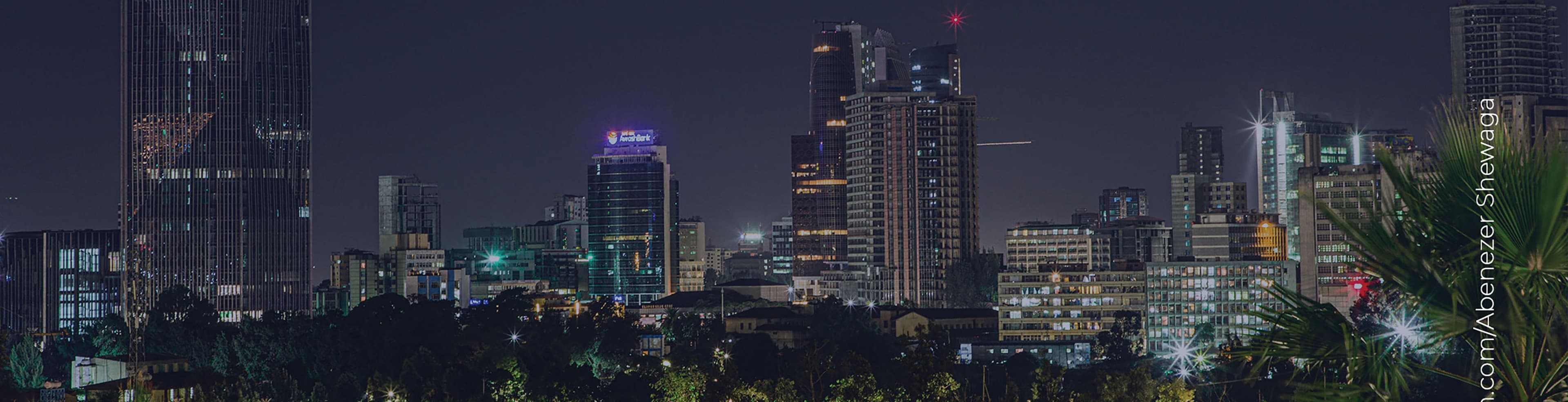 banner2 image